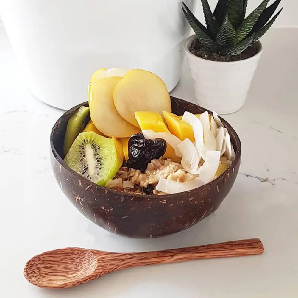 Coconut Shell Bowl With Spoon