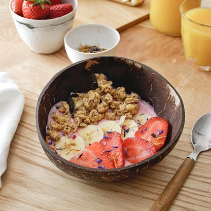 Coconut Shell Bowl With Spoon